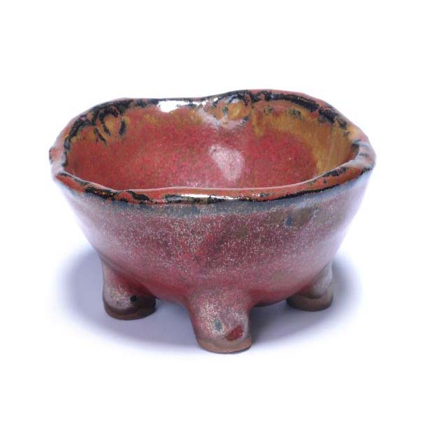 Earth Born Noodle Bowl